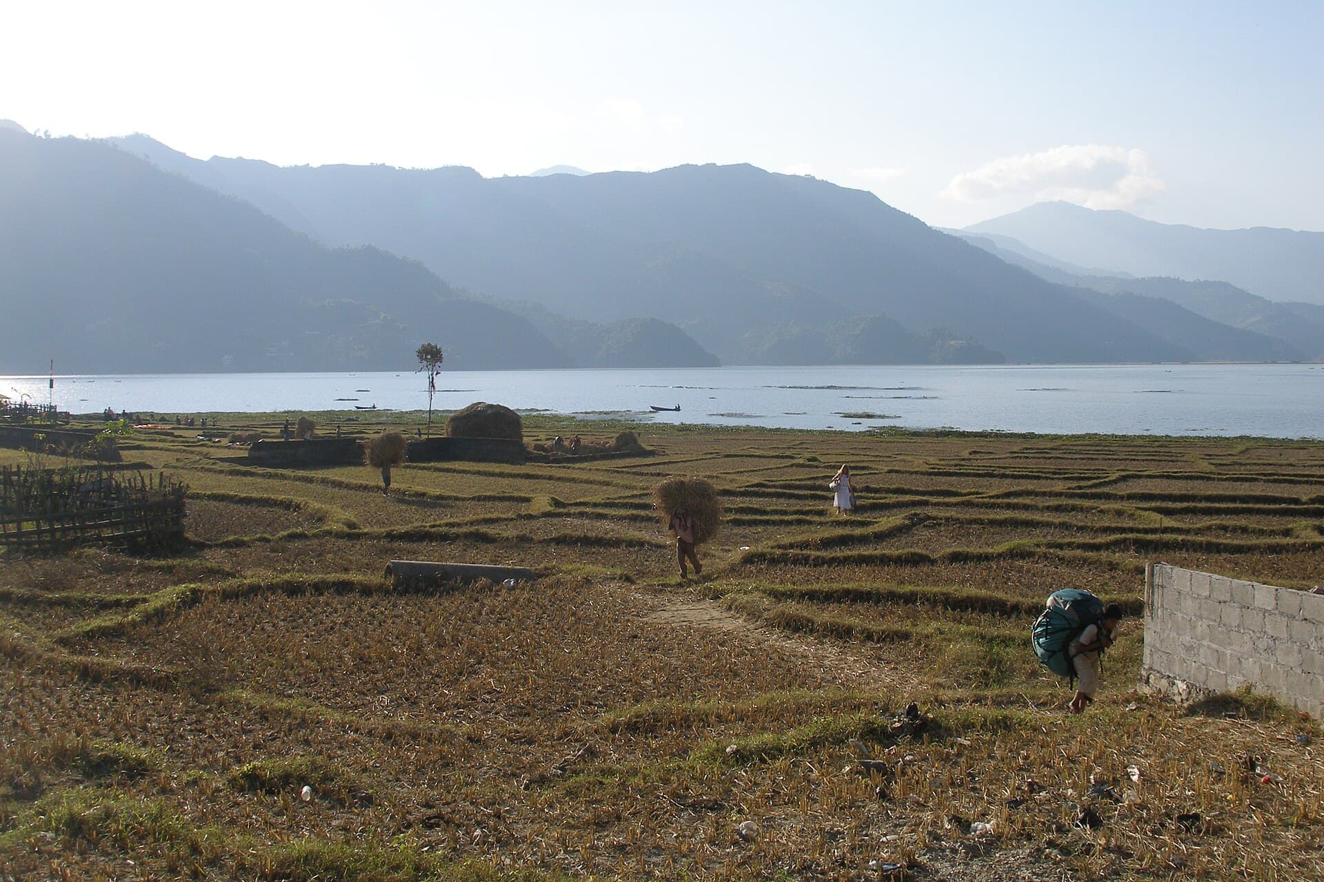 Pokhara, Phewa Lake, Nepal.jpg